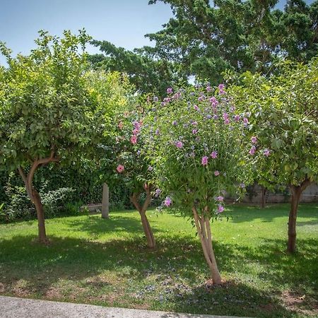 Piso Con Jardin Apartment Malaga Bagian luar foto