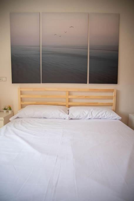 Piso Con Jardin Apartment Malaga Bagian luar foto